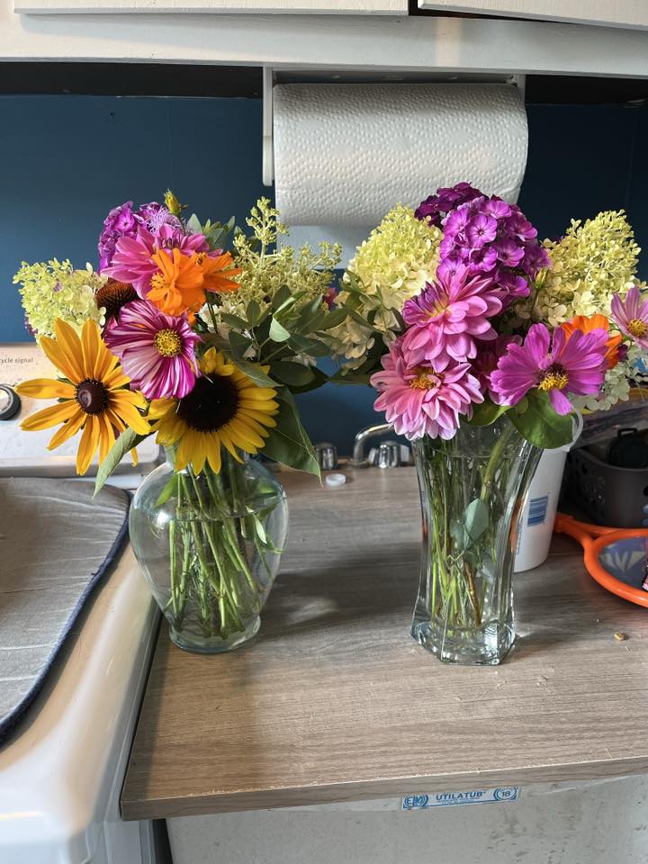 Cut-flower arrangements