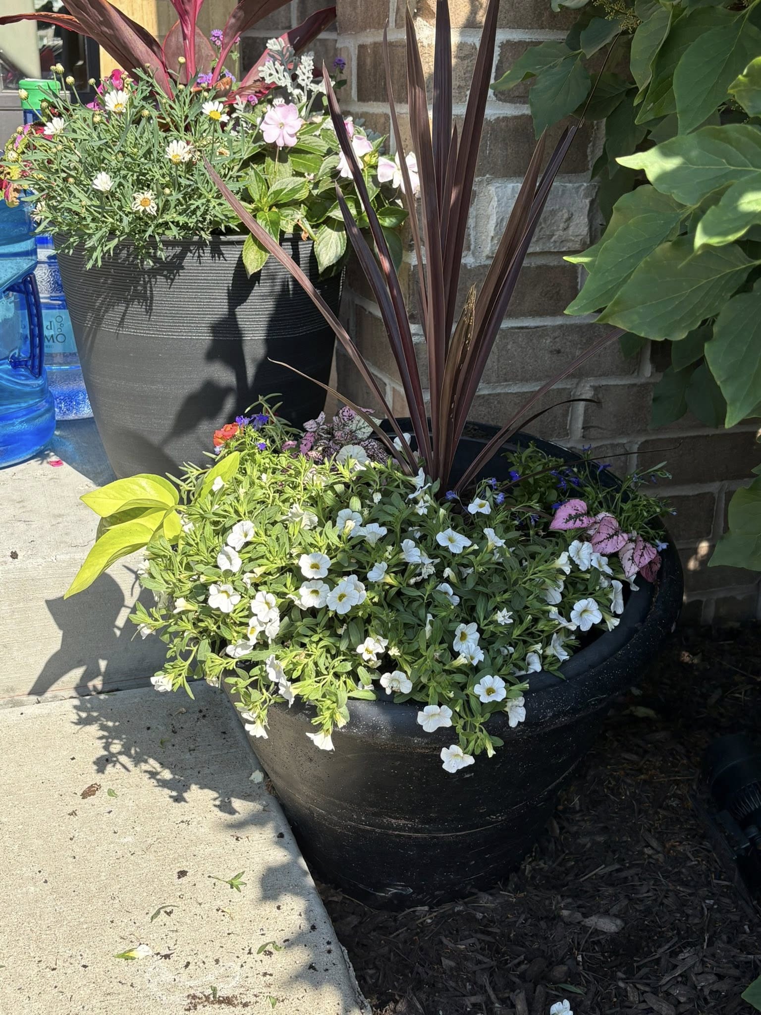 Container planting at a front entry